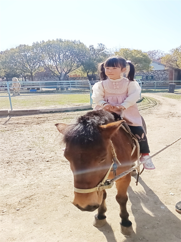 中1陈姝妍.JPG