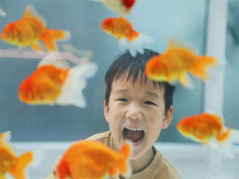 中二班 顾一宸.png