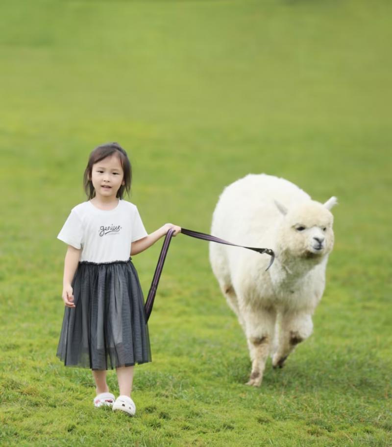 张伊楠.png